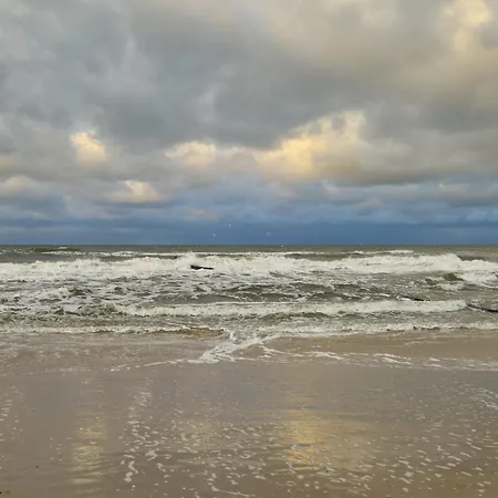 Przy Plazy Morzlive 66 *