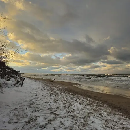 Przy Plazy Morzlive 66 *