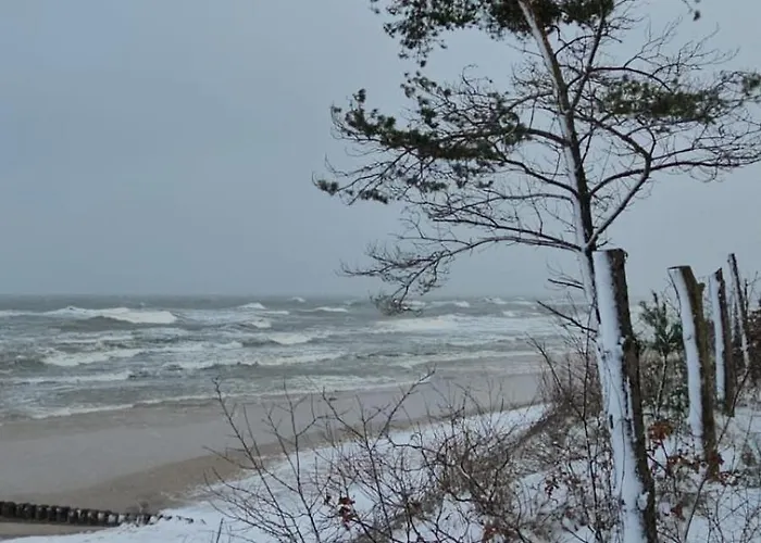 Przy Plazy Morzlive 66