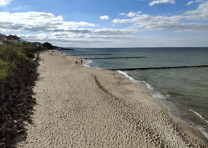 Przy Plazy Morzlive 66 *