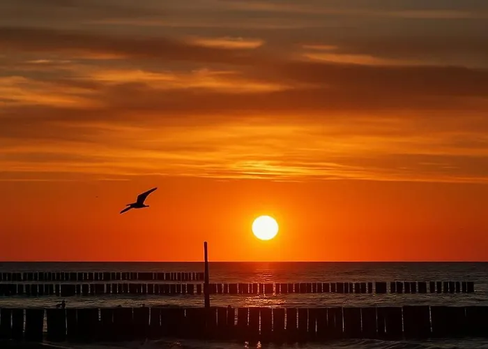 Przy Plazy Morzlive 66 *