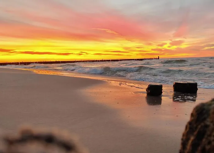 Przy Plazy Morzlive 66 *