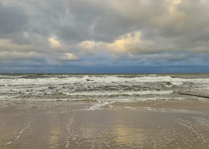 Przy Plazy Morzlive 66 *