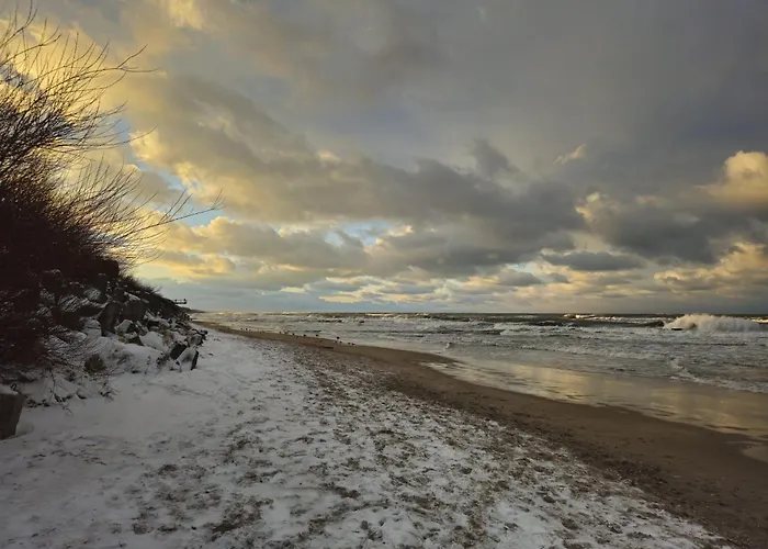 Przy Plazy Morzlive 66 *