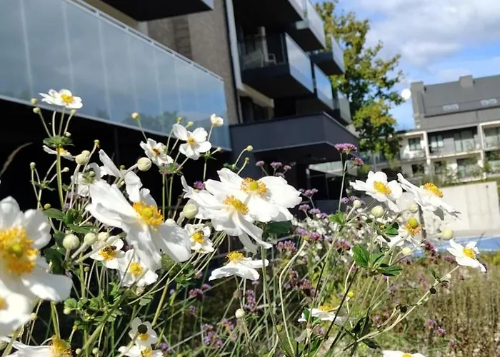 Przy Plazy Morzlive 66 דירה